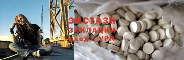 индика Богданович