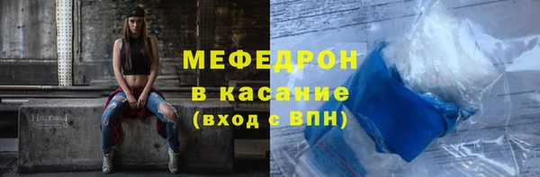 индика Богданович