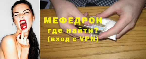 индика Богданович