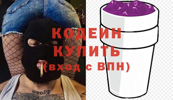 индика Богданович