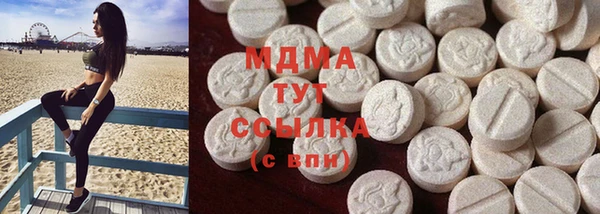 индика Богданович