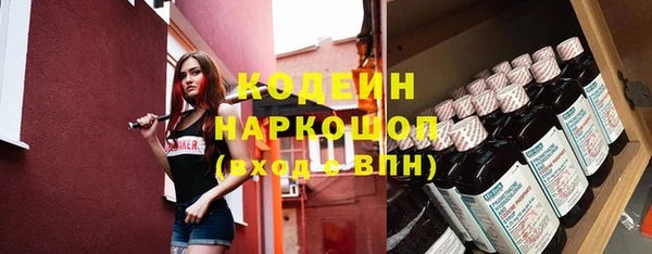 индика Богданович