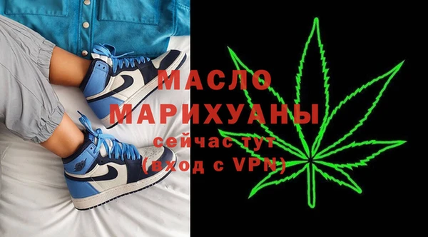индика Богданович